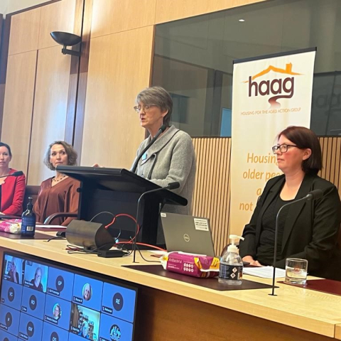 Linda Hahn speaking at the launch of the report "Ageing in a Housing Crisis"